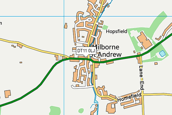 DT11 0LJ map - OS VectorMap District (Ordnance Survey)