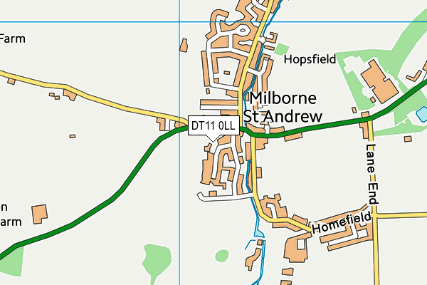 DT11 0LL map - OS VectorMap District (Ordnance Survey)