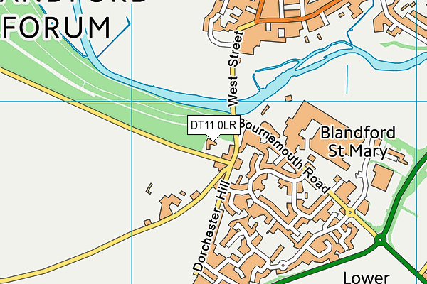 DT11 0LR map - OS VectorMap District (Ordnance Survey)