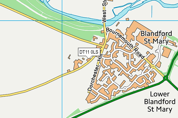 DT11 0LS map - OS VectorMap District (Ordnance Survey)