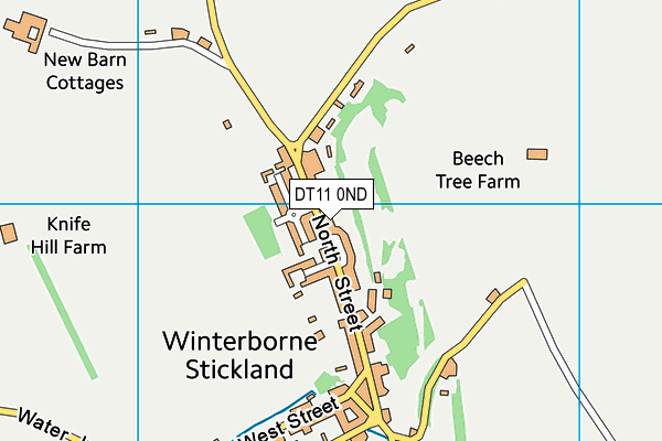 DT11 0ND map - OS VectorMap District (Ordnance Survey)