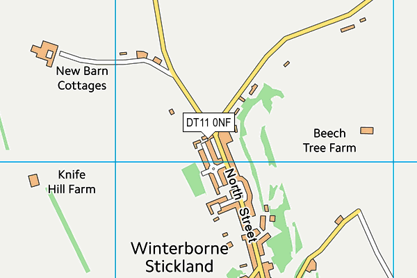 DT11 0NF map - OS VectorMap District (Ordnance Survey)