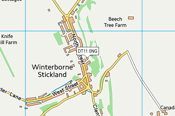 DT11 0NG map - OS VectorMap District (Ordnance Survey)