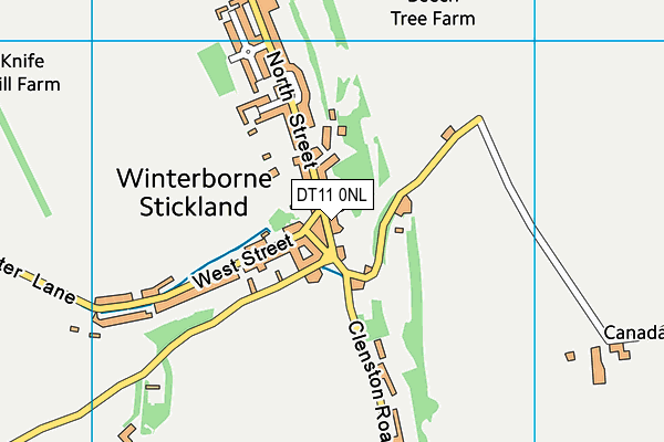 DT11 0NL map - OS VectorMap District (Ordnance Survey)