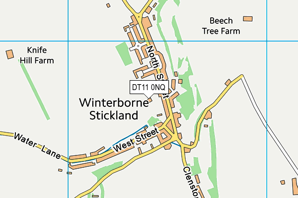 DT11 0NQ map - OS VectorMap District (Ordnance Survey)