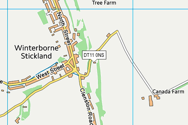 DT11 0NS map - OS VectorMap District (Ordnance Survey)