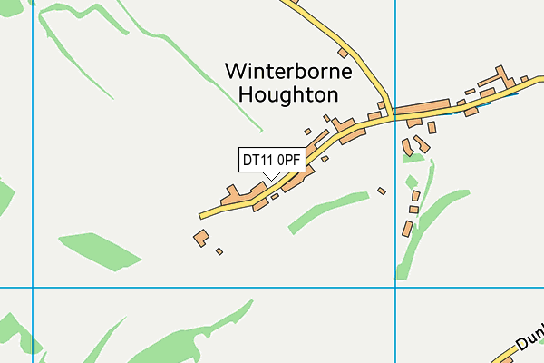 DT11 0PF map - OS VectorMap District (Ordnance Survey)