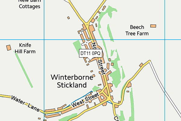 DT11 0PQ map - OS VectorMap District (Ordnance Survey)