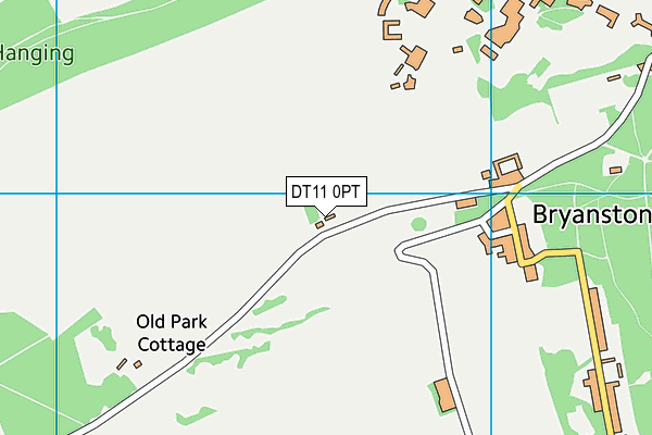 DT11 0PT map - OS VectorMap District (Ordnance Survey)