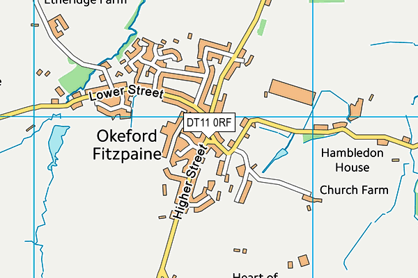 DT11 0RF map - OS VectorMap District (Ordnance Survey)