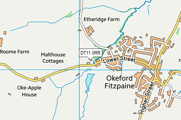 DT11 0RR map - OS VectorMap District (Ordnance Survey)