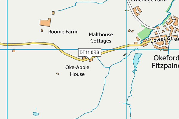 DT11 0RS map - OS VectorMap District (Ordnance Survey)