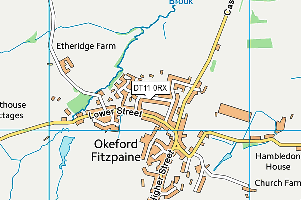 DT11 0RX map - OS VectorMap District (Ordnance Survey)