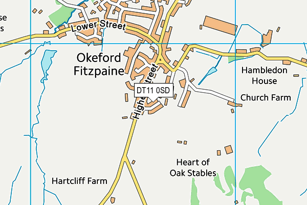 DT11 0SD map - OS VectorMap District (Ordnance Survey)