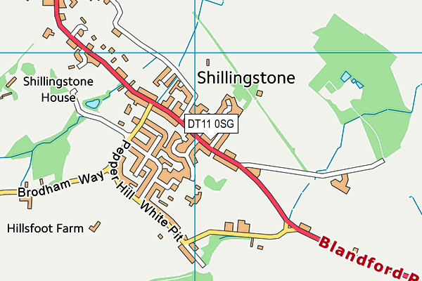 DT11 0SG map - OS VectorMap District (Ordnance Survey)