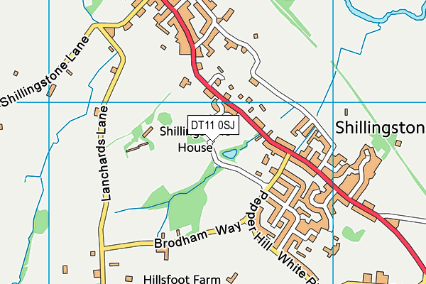 DT11 0SJ map - OS VectorMap District (Ordnance Survey)