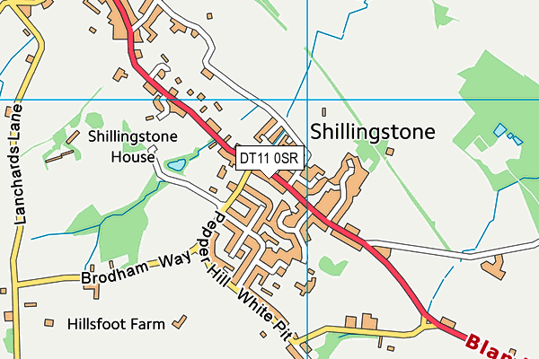 DT11 0SR map - OS VectorMap District (Ordnance Survey)