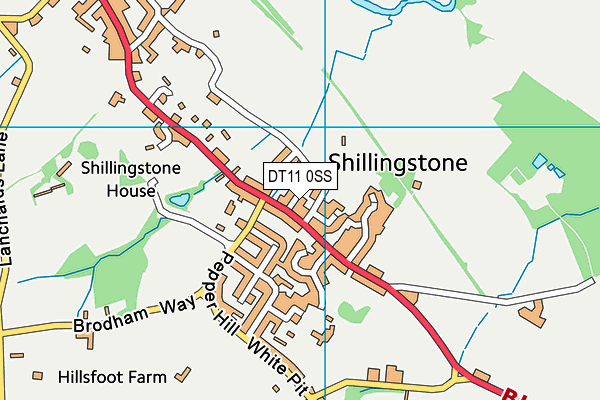 DT11 0SS map - OS VectorMap District (Ordnance Survey)