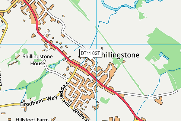 DT11 0ST map - OS VectorMap District (Ordnance Survey)