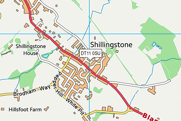 DT11 0SU map - OS VectorMap District (Ordnance Survey)