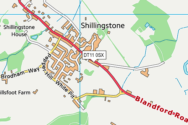 DT11 0SX map - OS VectorMap District (Ordnance Survey)