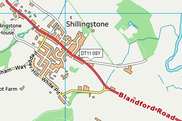 DT11 0SY map - OS VectorMap District (Ordnance Survey)