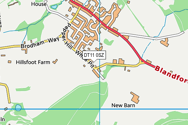 DT11 0SZ map - OS VectorMap District (Ordnance Survey)