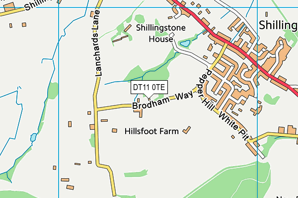 DT11 0TE map - OS VectorMap District (Ordnance Survey)