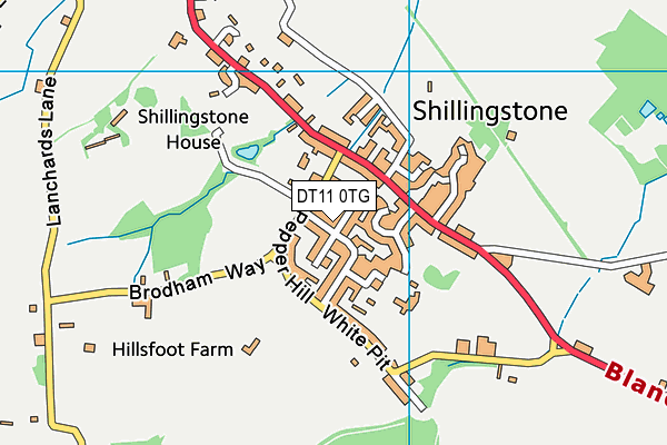 DT11 0TG map - OS VectorMap District (Ordnance Survey)