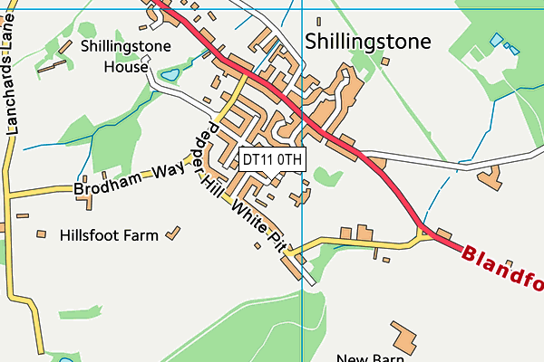 DT11 0TH map - OS VectorMap District (Ordnance Survey)