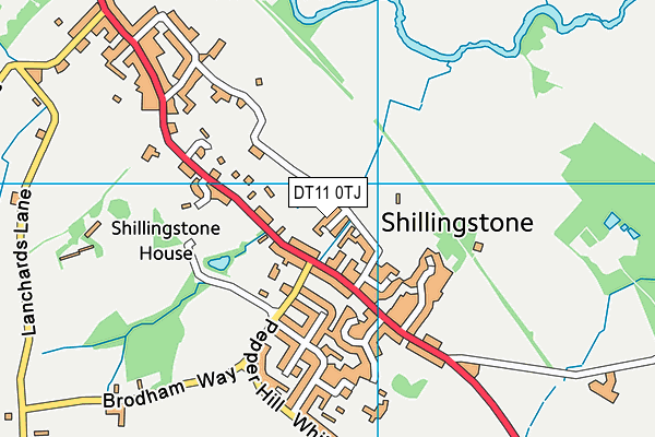 DT11 0TJ map - OS VectorMap District (Ordnance Survey)