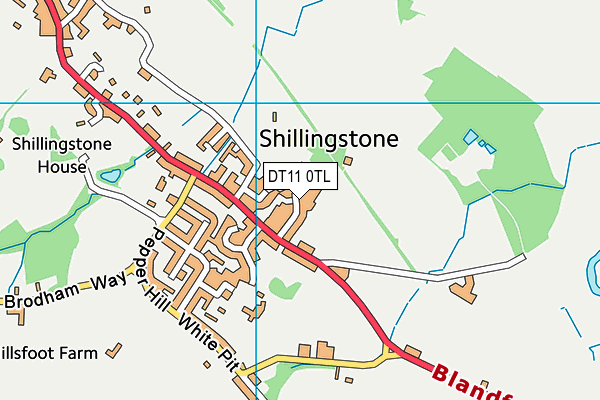 DT11 0TL map - OS VectorMap District (Ordnance Survey)