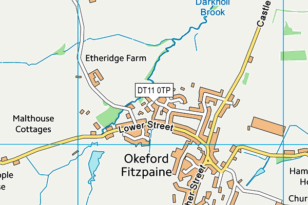 DT11 0TP map - OS VectorMap District (Ordnance Survey)