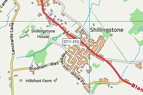 DT11 0TQ map - OS VectorMap District (Ordnance Survey)