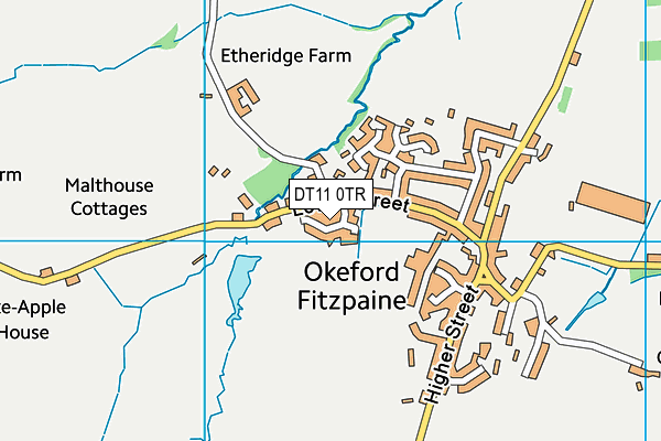 DT11 0TR map - OS VectorMap District (Ordnance Survey)