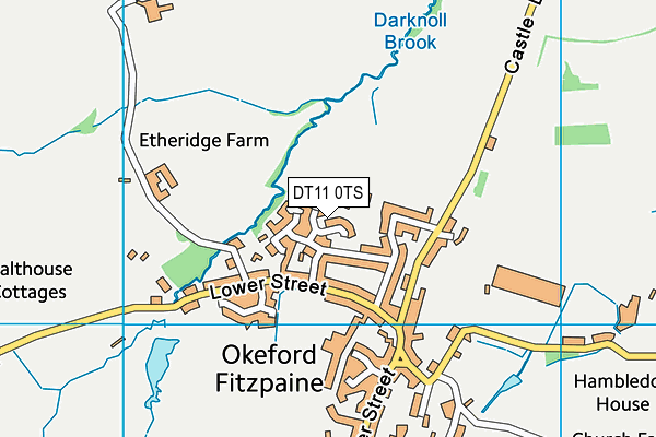 DT11 0TS map - OS VectorMap District (Ordnance Survey)