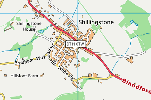 DT11 0TW map - OS VectorMap District (Ordnance Survey)