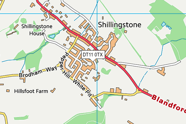 Shillingstone Ceva Primary School map (DT11 0TX) - OS VectorMap District (Ordnance Survey)