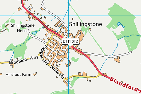 DT11 0TZ map - OS VectorMap District (Ordnance Survey)