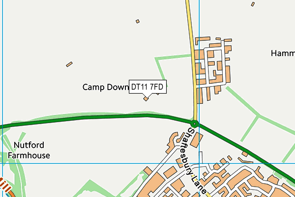 DT11 7FD map - OS VectorMap District (Ordnance Survey)