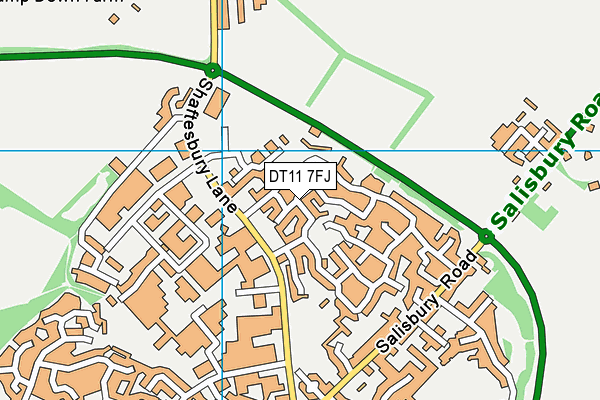 DT11 7FJ map - OS VectorMap District (Ordnance Survey)