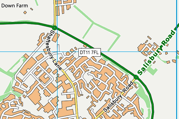 DT11 7FL map - OS VectorMap District (Ordnance Survey)
