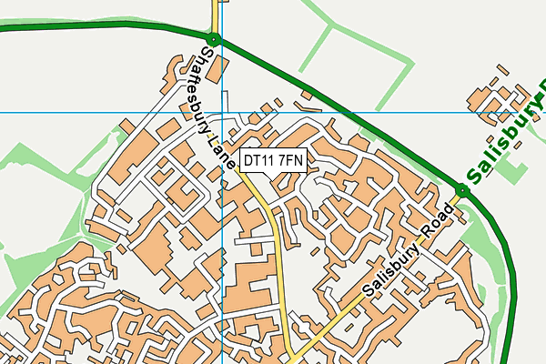 DT11 7FN map - OS VectorMap District (Ordnance Survey)