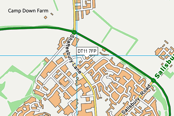 DT11 7FP map - OS VectorMap District (Ordnance Survey)