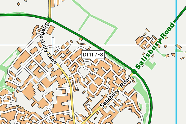 DT11 7FS map - OS VectorMap District (Ordnance Survey)