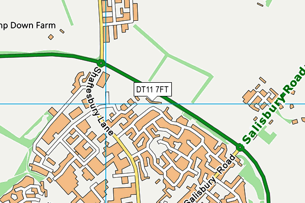 DT11 7FT map - OS VectorMap District (Ordnance Survey)