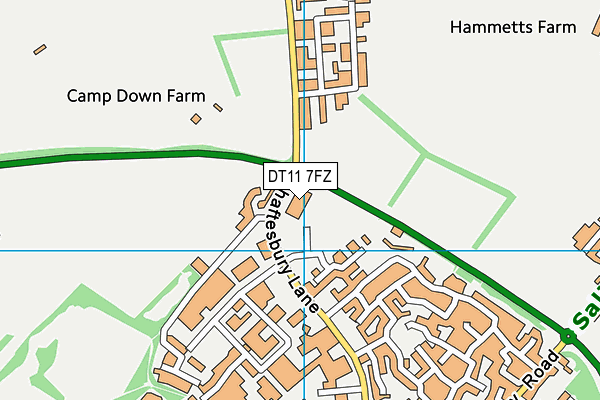 DT11 7FZ map - OS VectorMap District (Ordnance Survey)