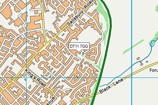 DT11 7GG map - OS VectorMap District (Ordnance Survey)