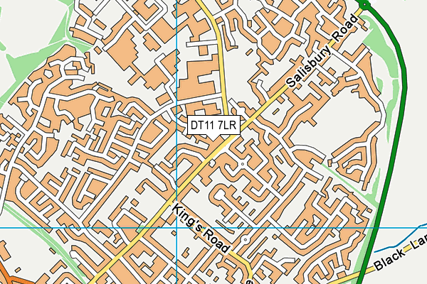 DT11 7LR map - OS VectorMap District (Ordnance Survey)