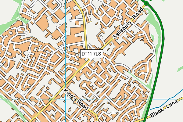 DT11 7LS map - OS VectorMap District (Ordnance Survey)